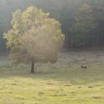 Ubytování Frenštát Beskydy apartmány pension Replay